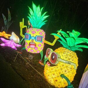 Meet your Posher, Phillip wesley